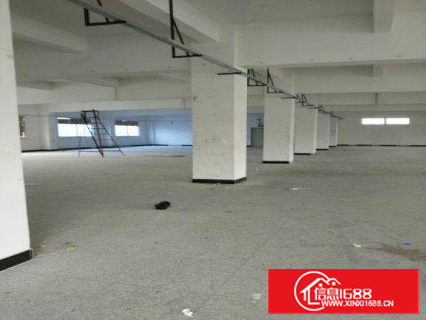 塘厦莲湖标准一楼厂房460平