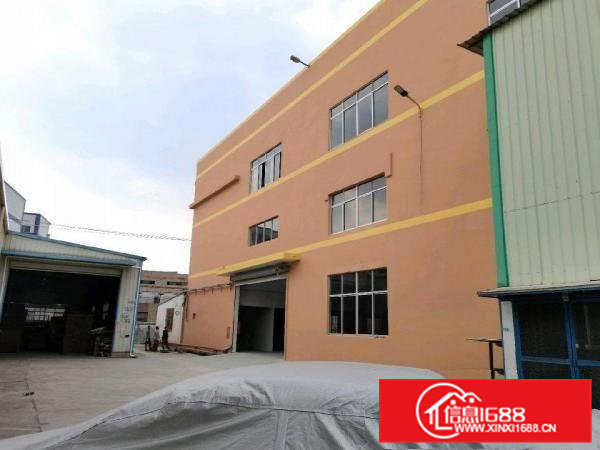 清溪镇三中（标准一楼2300平，层高8米）厂房出租