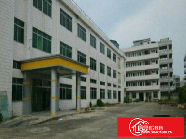 高埗标准厂房分租一楼1800平方带办公室装修现成办公室装修