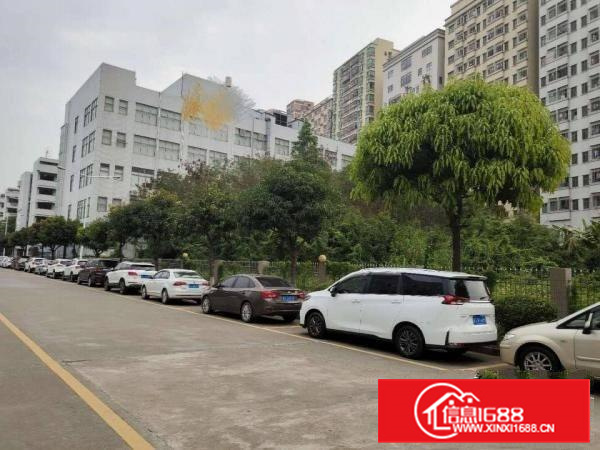 厦岗原房东厂房新空出，带精装修