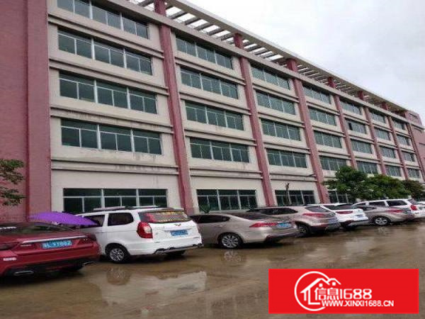 惠阳新圩新出标准3层楼房2200平方出租