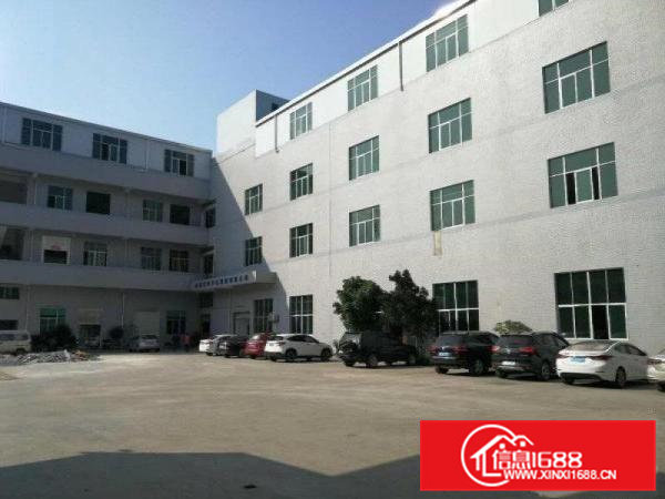 大岭山汽车广场旁新出楼上1350平现成水电办公装修