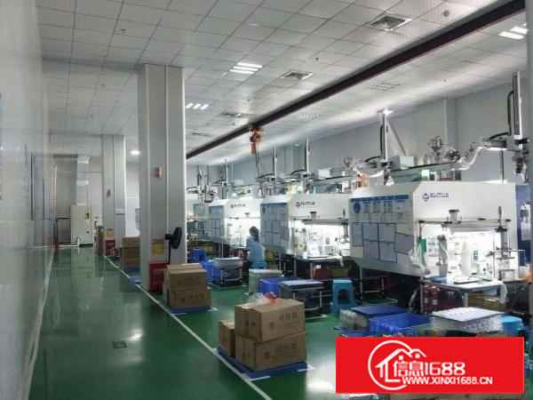 长安滨海湾新区重工厂房二楼4400平，精装修，拎包入户