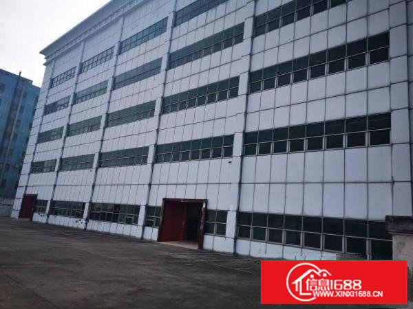 大岭山原房东独院标准厂房出租空地大面积实量带消防喷淋可办环评