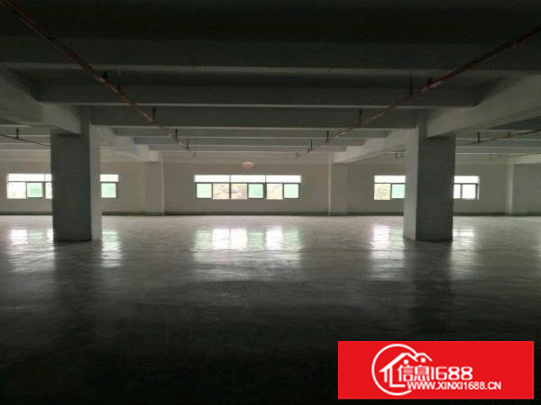 丹竹头立信路200-1000平方厂房仓库招租