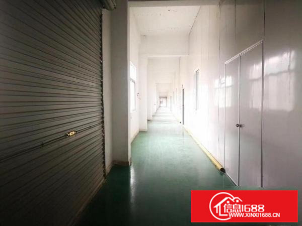 清溪大利工业园区标准厂房有二楼800平三楼400平分租