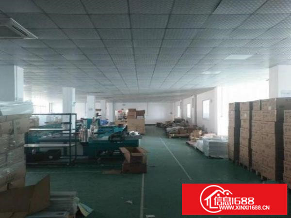 旱塘村业主直租楼上厂房600平方，无公摊面积