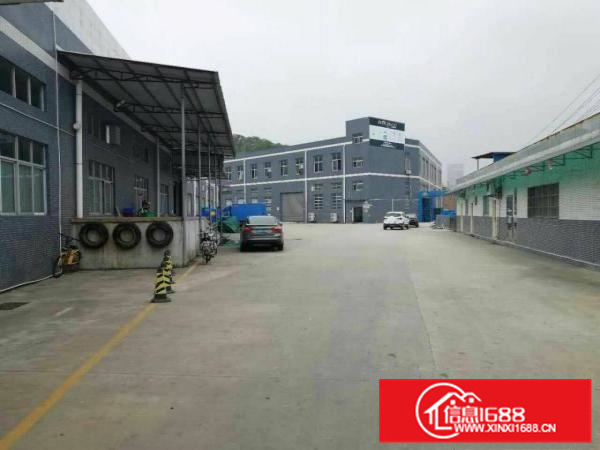 惠阳新墟2100平独栋钢构高8米带卸货平台空地超大