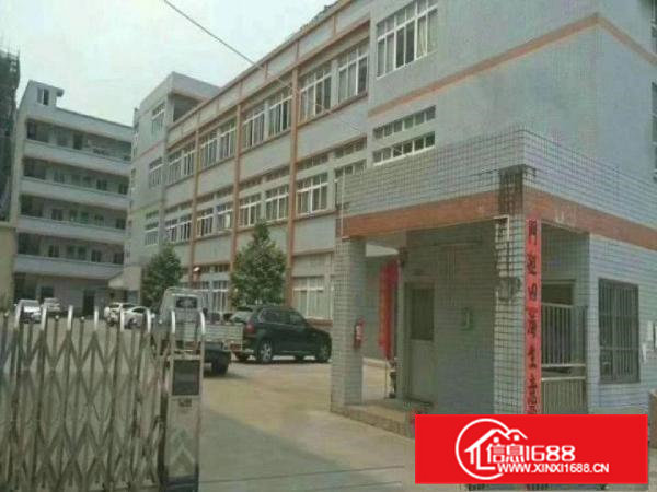 大岭山新出带行车原房东两层2500平米