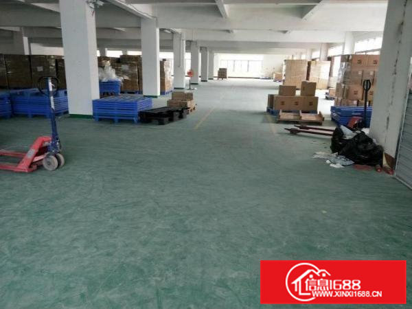 常平司马原房东新出标准厂房2000平，超大空地，环境好