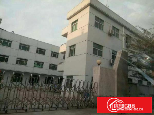 常平新出9新花园标准厂房独院3800平独院带装修