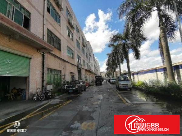 坂田天安云谷旁楼上650平精装修厂房出租，水电齐全