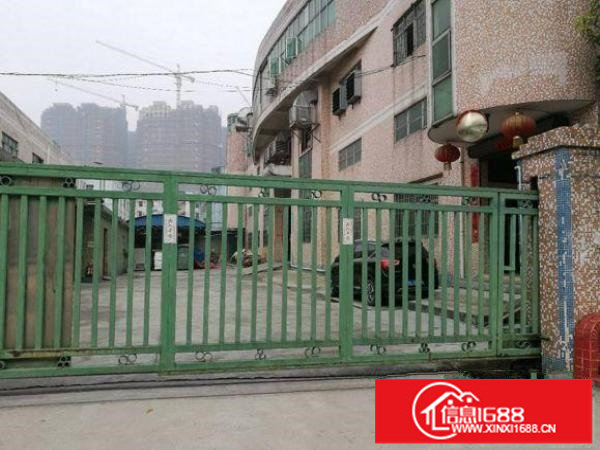 出租坪山新区坑梓楼上530平方带装修厂房