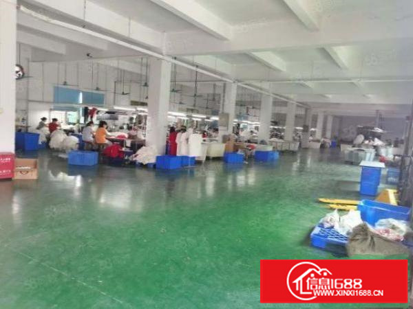 茶山镇新出原房东带现成装修独院厂房招租