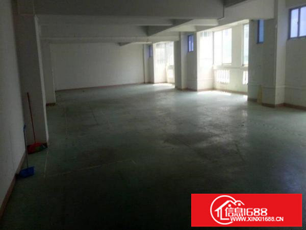 民治民治牛栏前厂房300平米出租、主干道旁