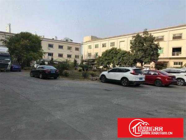 大朗洋塘坑村新出标准厂房1200方带装修