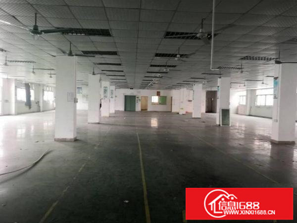 华南城5号广场对面楼上两层各1500平米一层带装修