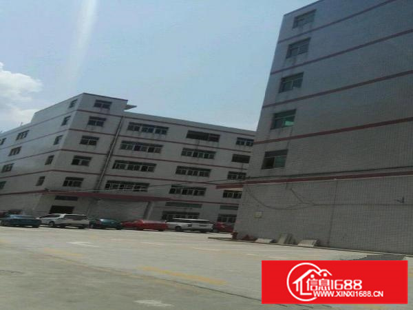 丹竹头布吉吉厦早禾坑工业区厂房1500平米