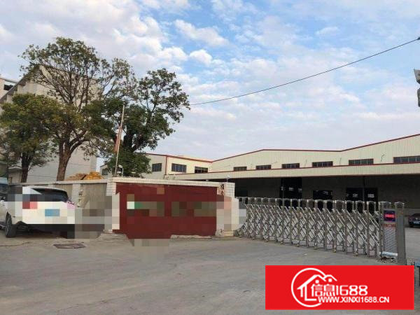 东莞市高埗镇原房东独门独院钢结构厂房出租