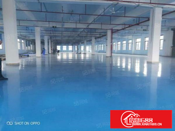 塘厦新出标准厂房2480平米出租