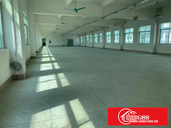 东莞市塘厦镇林村高速出口200米标准厂房出租