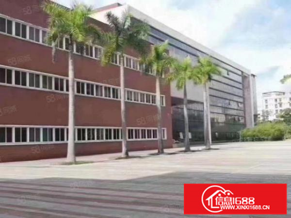 金沙洲广佛出口12元园区楼层无公摊厂房3000方可分租带环评