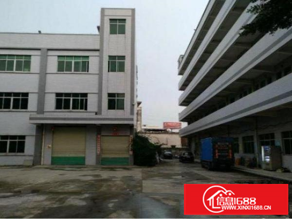 石排水贝一楼新出带装修标准厂房500平出租，无公摊