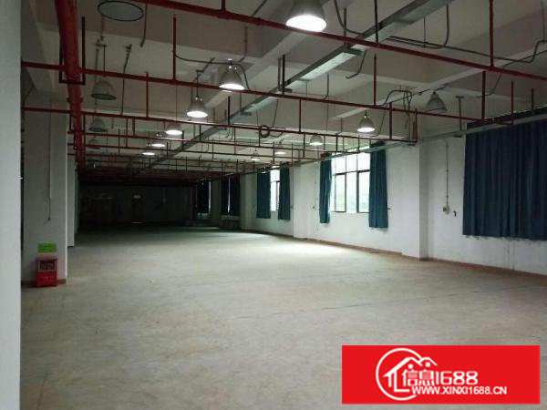 坑梓红本有消防800平方厂房出租停车位充足空地大