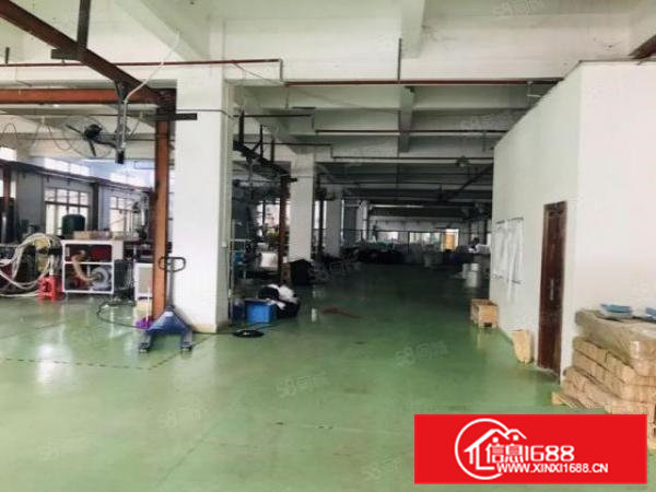 桥头镇新出原房东厂房标准一楼出租1450平方，豪华装修办公室