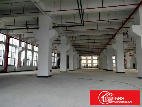 大朗原房东自建标准厂房1-8层，大小可分租，可办环评