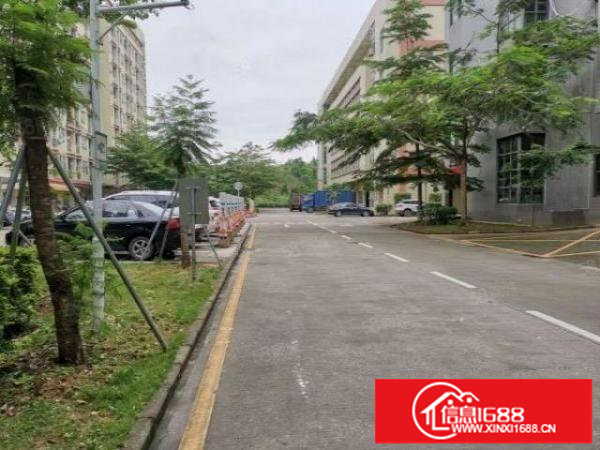 观澜桂花路原房东自建花园式厂房带红本3楼2000平豪华装修