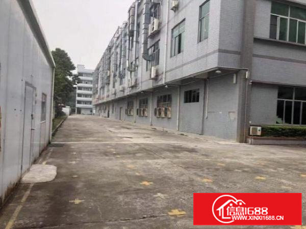 东莞大岭山原房东独门独院精装修厂房8000平米