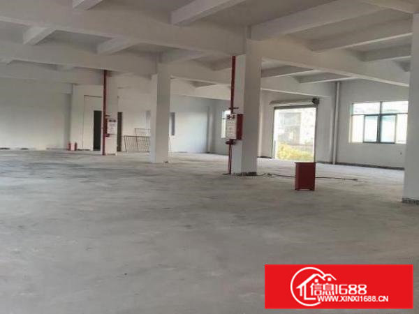 大朗独院厂房9000方，19元/方