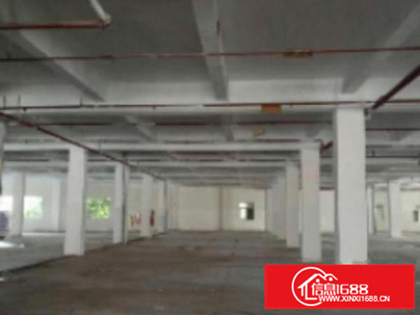 高埗标准1出租800、1000、1500平方出租消防水