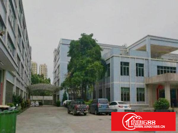 松岗东方招租一楼厂房800平，有红本，电按需配