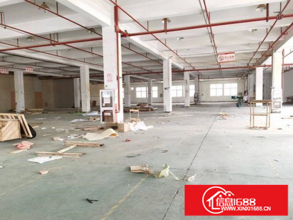 塘厦莲湖独院标准一楼850平适合五金机械设备厂房出租实际面积