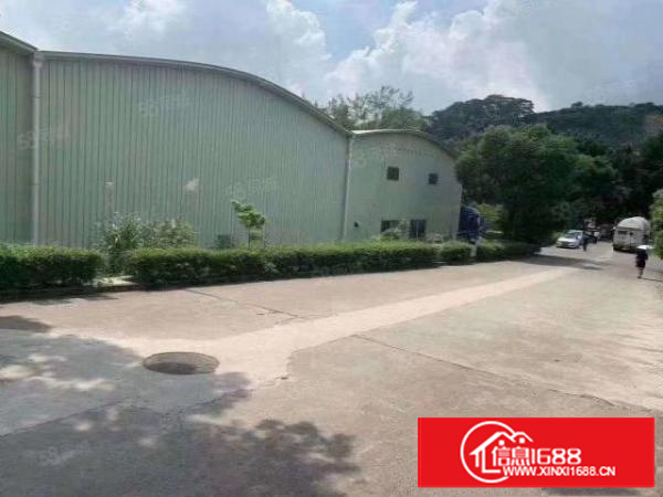 凤岗雁田原房独院钢结构6500平方空地超大带卸货平台交通便利