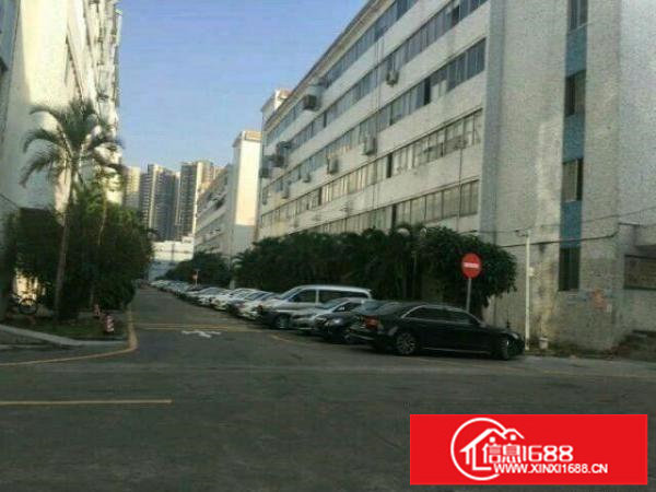 坂田仓库,电商,房厂,物流仓库400平米大小都有