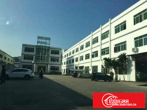 石排新出独院厂房！面积3500平米精装修招租