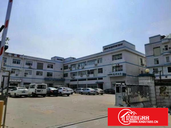 建安路附近新出1000平厂房，豪华装修，价格可谈