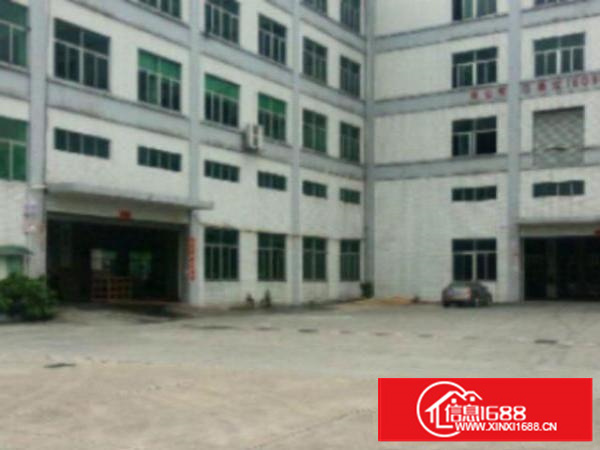 万江万江周边工业区标准一楼1000平方招租水电齐全