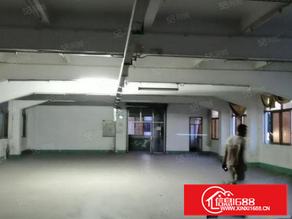 厦边一楼2600平方，26元平