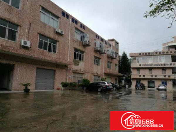 龙岗中心城龙西务地铺新出楼上650平带装修厂房出租