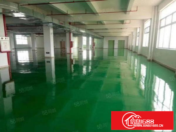 桥头东部快线旁新出2楼整层2300平带装修厂房出租