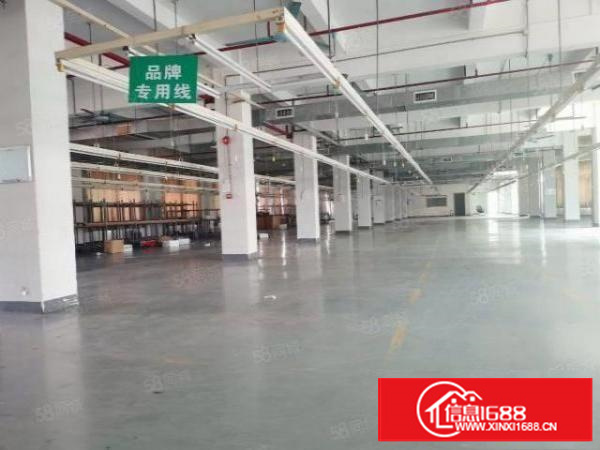 上市公司，独门独院12500招租，全新厂房