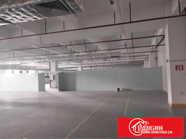 大亚湾西区原房东标准厂房23楼1万平方米出租