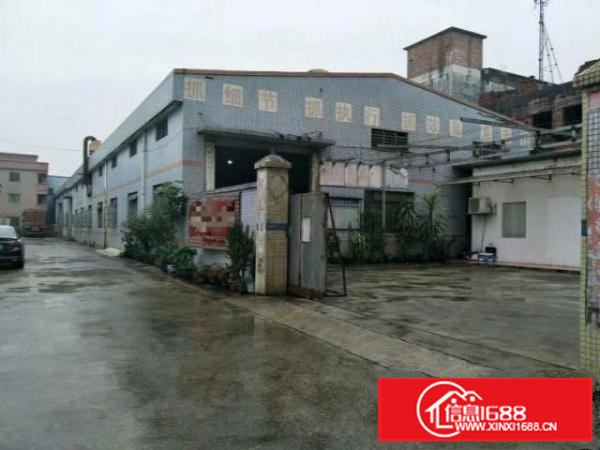 万江独院单一层厂房2600平方带现成印刷环评电400水电齐全