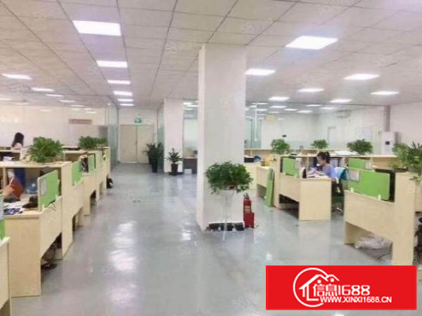 寮步新出花园式厂房楼上精装修1200.园区空地大，可办环评