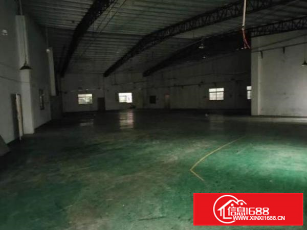 茶山镇京山工业区原房东单一层