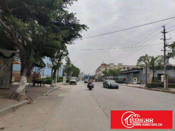 大朗镇犀牛陂新出厂房滴水6.5米高面积约1300平